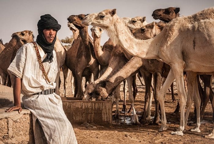 Le programme agropastoral : le Guidimakha en tête des quotas octroyés aux wilayas