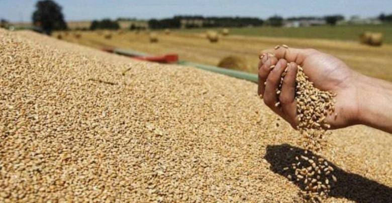 PAM : plus de 43 millions d’africains menacés d’insécurité alimentaire