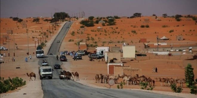 Covid-19 : les personnes ayant été en contact avec le malade de Ouad Naga identifiées