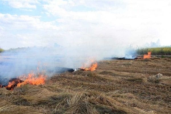 Mauritanie : vastes incendies de pâturages dans l’est du pays