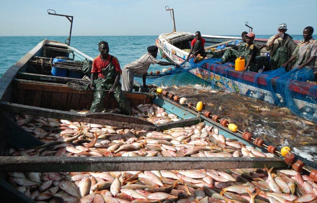La Mauritanie cherche à ouvrir les marchés brésiliens à ses produits halieutiques