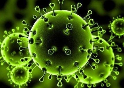 Coronavirus : une étude britannique dévoile de nouveaux symptômes de la maladie