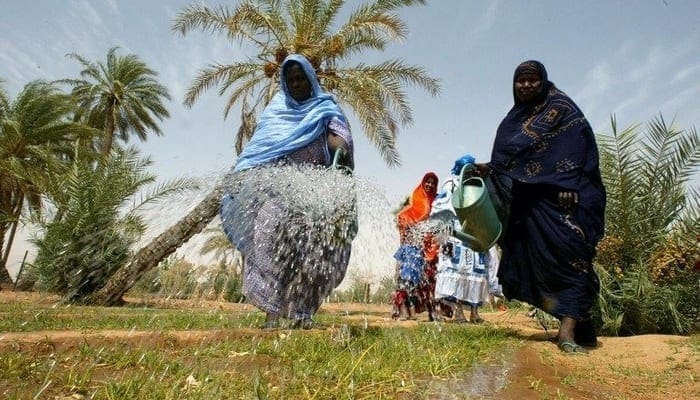 Mauritanie : la FAO va réaliser un projet expérimental pour l’emploi