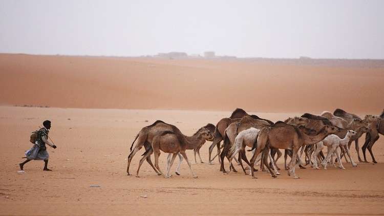 Mauritanie : session de formation pour les associations pastorales