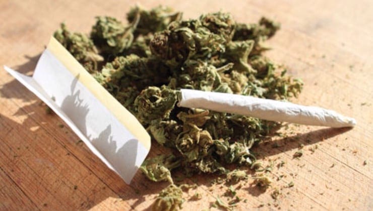 Aleg : incinération de 228 kg de Haschisch et de produits psychotropes