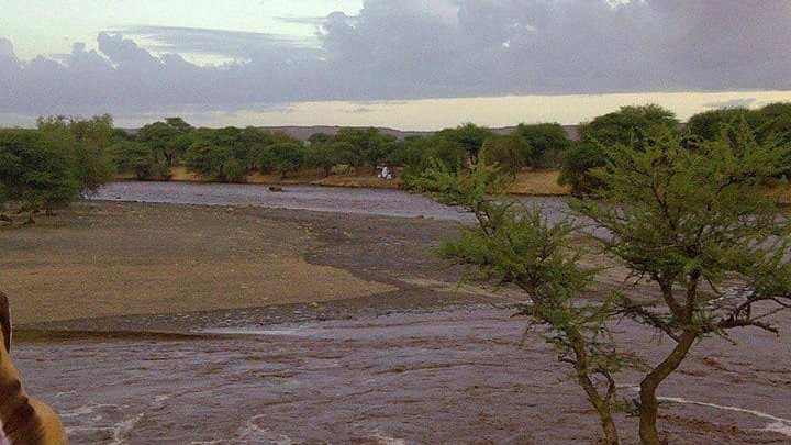 Mauritanie : légère pluies dans quatre wilayas du pays