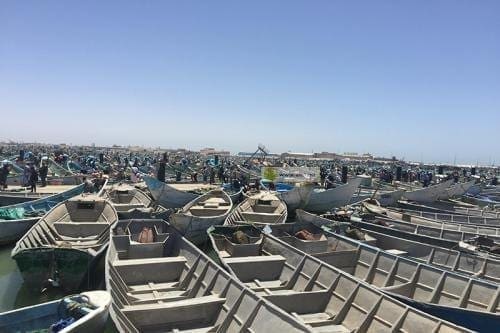 Mauritanie : le ministre des pêches demande aux pêcheurs artisanaux de respecter leurs zones