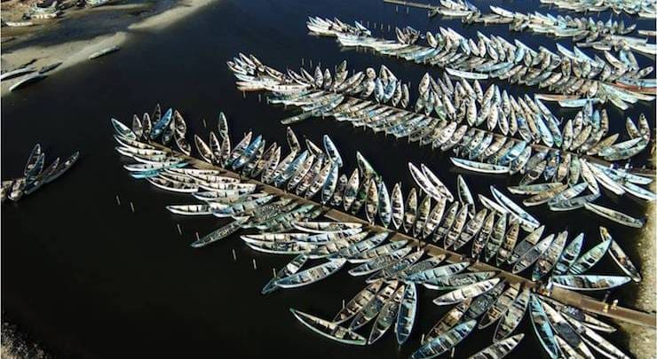 Nouadhibou : financement japonais de 5 milliards d’ouguiya pour la réalisation d’un laboratoire piscicole