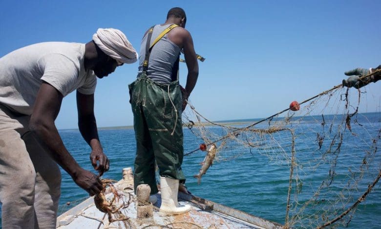 Mauritanie : réduction des redevances payées par les pêcheurs nationaux