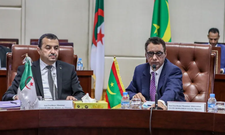 Le ministre mauritanien du pétrole, des mines et de l’énergie révèle les réserves mauritaniennes en or