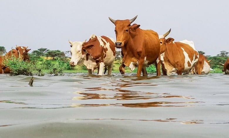 La météo prévoit une semaine pluvieuse et appelle à la vigilance