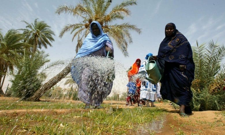 Brakna : distribution des 110 tonnes de semences pour appuyer les agriculteurs