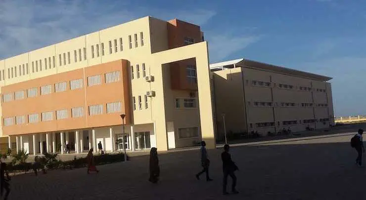 Mauritanie : des docteurs en chômage demandent au président Ghazouani leur recrutement et la modification de l’âge prévu pour cette disposition