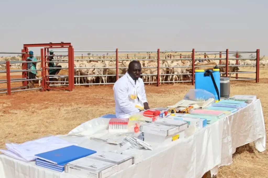Mauritanie : campagne de sensibilisation auprès des éleveurs sur la nécessité de protegerer leur bétail