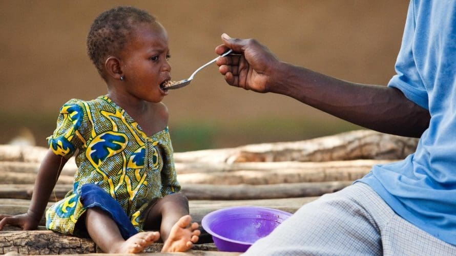Plus de 7 millions de personnes menacées par l’insécurité alimentaire au Sahel