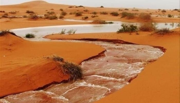 Début d’un hivernage prometteur en Mauritanie