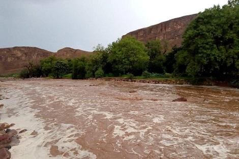Intempéries : importants dégâts consécutifs aux pluies torrentielles au Gorgol