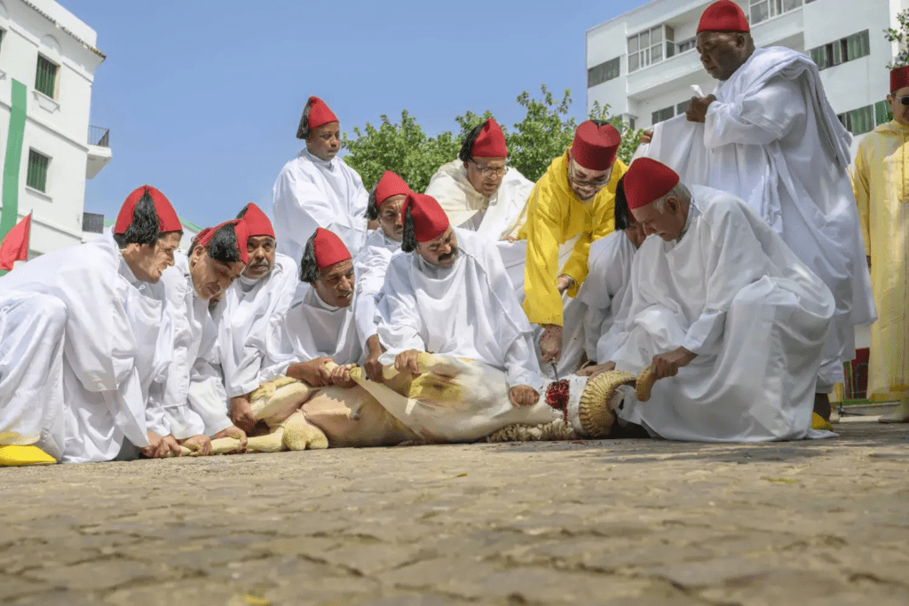 Maroc : le roi Mohamed VI appelle ses concitoyens à renoncer au rituel du sacrifice de l’Aïd à cause de la baisse significative du cheptel pour cause de sécheresse