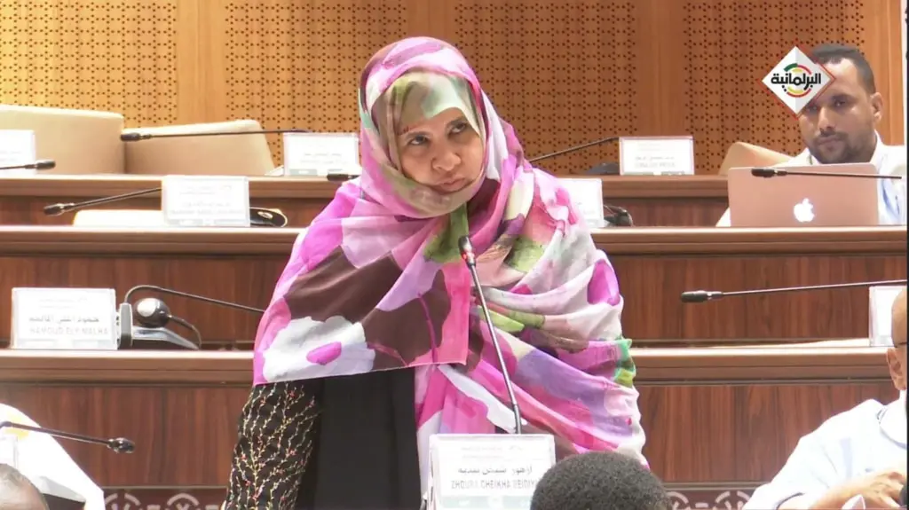 Une députée à propos du nouveau code des marchés publics : « la porte reste ouverte à tous les abus et tous les dysfonctionnements »