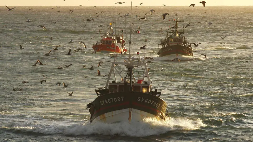 Mauritanie : l’arrêt biologique de la pêche au poulpe prolongé jusqu’au 15 juillet prochain