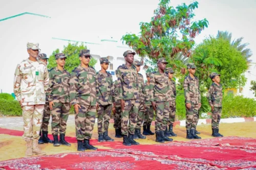 Brevet 2026 : réussite de 98% au niveau du lycée militaire