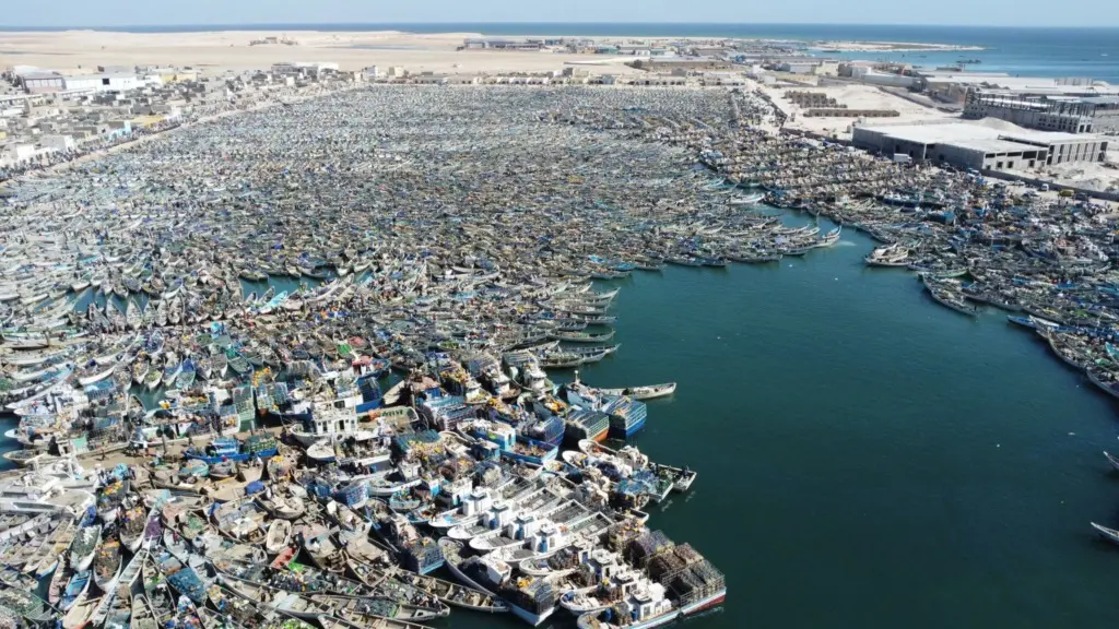 Mauritanie : reprise le 15 juillet de la pêche artisanale